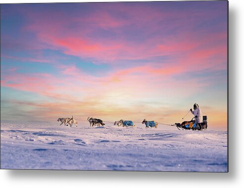 Sunset Metal Print featuring the photograph Dog Sled Team at Sunset by Scott Slone