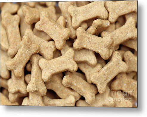 Dog Metal Print featuring the photograph Dog Treats by Vivian Krug Cotton