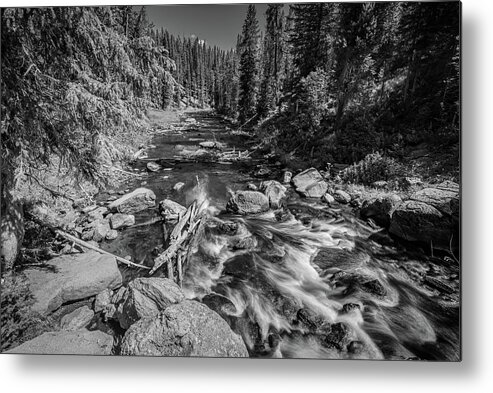 Yellowstone Metal Print featuring the photograph Downstream by Gary Felton