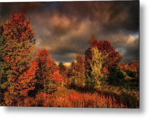 Foliage Metal Print featuring the photograph Dramatic Autumn sky landscape by Lilia S