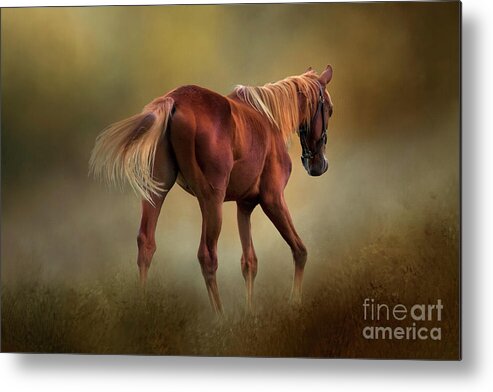 Horse Metal Print featuring the photograph Dream Horse by Shelia Hunt