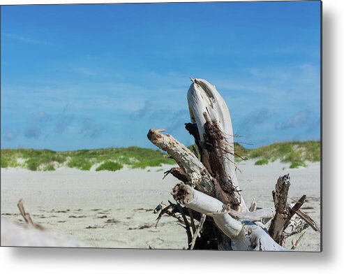 Driftwood Metal Print featuring the photograph Driftwood Sculpture on North Point by Liz Albro