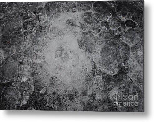 Ice Drops Metal Print featuring the photograph Drops Of Ice by Stefania Caracciolo