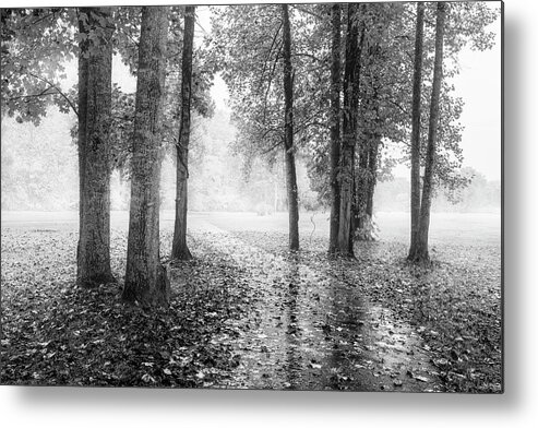 Carolina Metal Print featuring the photograph Early Morning Walk Black and White by Debra and Dave Vanderlaan
