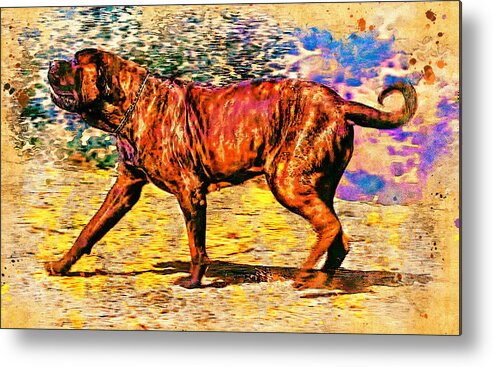 English Mastiff Metal Print featuring the digital art English Mastiff waiting for a treat - digital painting with a vintage look by Nicko Prints