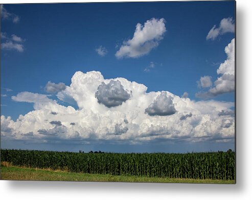 Nebraskasc Metal Print featuring the photograph Enjoying some Cotton Candy on the 4th 004 by NebraskaSC