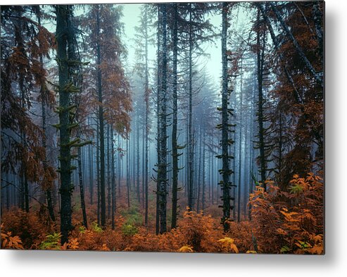 Coastalforest Metal Print featuring the photograph Enticement by Bill Posner