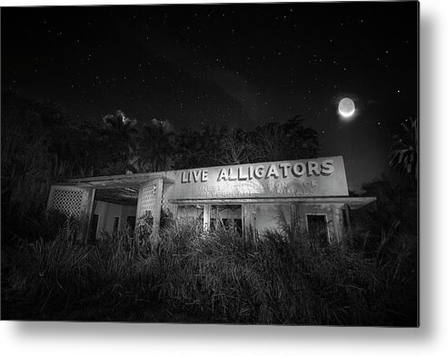 Everglades Gatorland Metal Print featuring the photograph Everglades Gatorland Ruins by Mark Andrew Thomas
