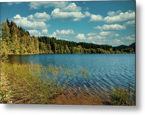 Blue Metal Print featuring the photograph Evergreens Around Peaceful Lake by Darryl Brooks