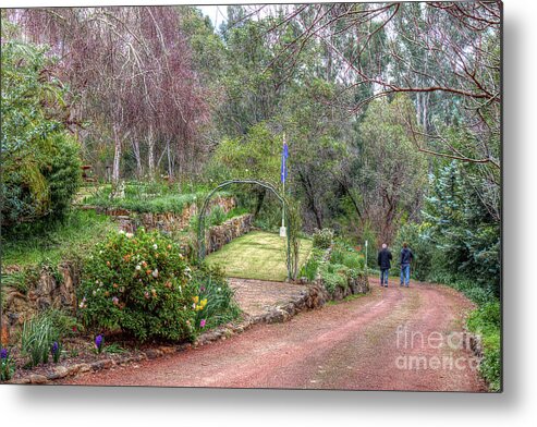 Garden Metal Print featuring the photograph Exploring Holberry by Elaine Teague