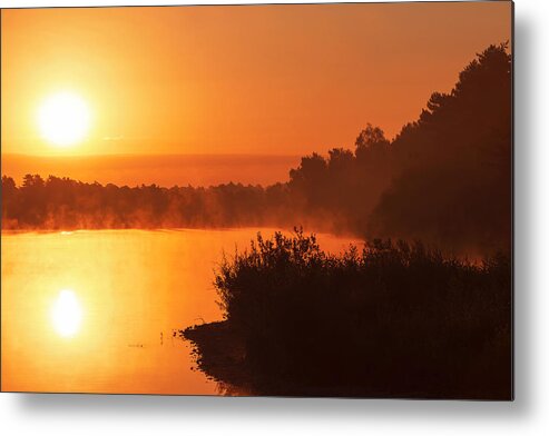 Sun Metal Print featuring the photograph Faces Of Maasduinen 31 by Jaroslav Buna