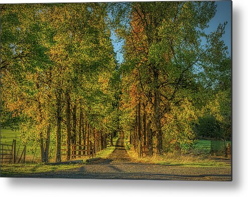Leaf Metal Print featuring the photograph Fall Colors Country Road by Loyd Towe Photography