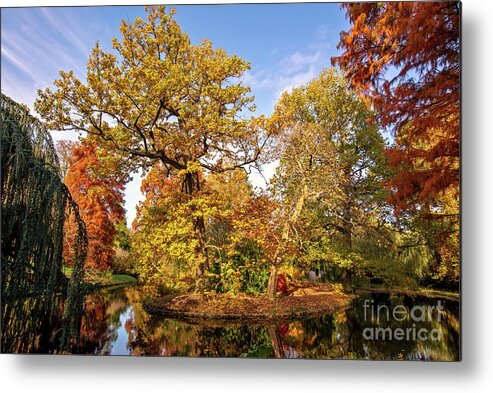 Fall Metal Print featuring the photograph Fall colors, arboretum landscape by Delphimages Photo Creations