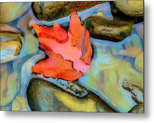 Carolina Metal Print featuring the photograph Fall Float Painting by Debra and Dave Vanderlaan