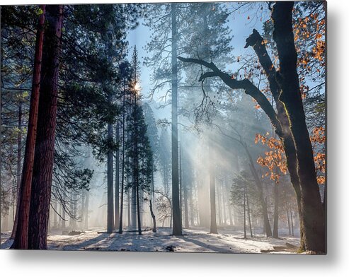 Usa Metal Print featuring the photograph Fall Atmospherics in Yosemite Valley by Doug Holck