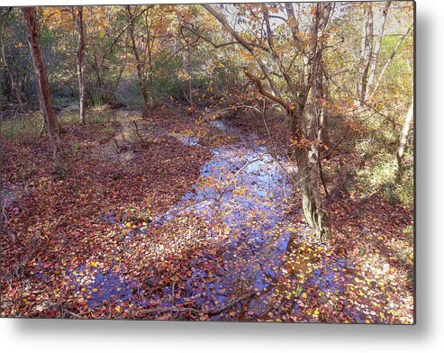 Fall Metal Print featuring the photograph Fall Leaving by Ed Williams
