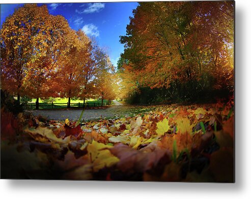 Metal Print featuring the photograph Fall Peace by Nicole Engstrom