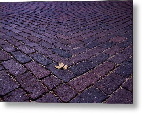 Fall Metal Print featuring the photograph Fallen Leaf by American Landscapes