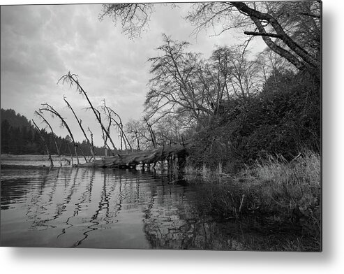 Salmon River Metal Print featuring the photograph Fallen Tree at the Mouth of the Salmon River by John Parulis
