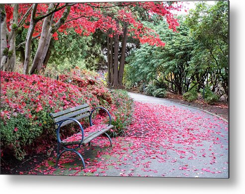 Autumn Metal Print featuring the photograph Falling Leaves by Joan Septembre