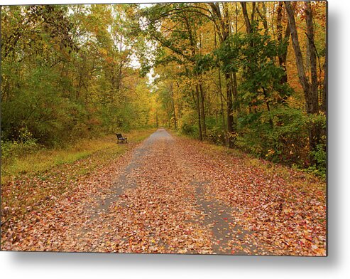 Fall Metal Print featuring the photograph Connecticut Foliage _8011 by Rocco Leone