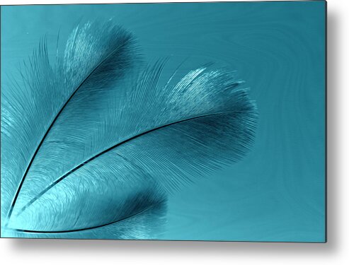 Creative Thinking Metal Print featuring the photograph Feathers from Heaven by Sandra J's