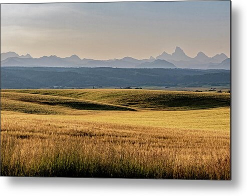 Montezuma's Castle Metal Print featuring the photograph Field And Tetons by Tom Singleton