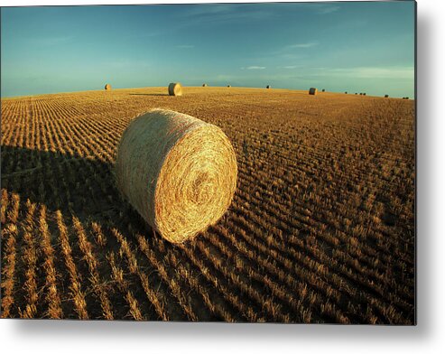 Montana Metal Print featuring the photograph Field Full of Bales by Todd Klassy