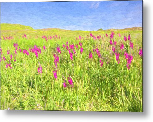 Gladiolus Metal Print featuring the digital art Field Of Gladiolus Painterly by Tanya C Smith