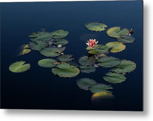Fine Art Metal Print featuring the photograph Finding Peace by Kim Sowa