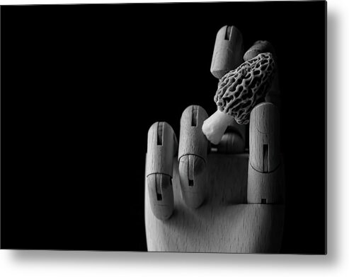 Morel Mushroom Metal Print featuring the photograph Finger Food by Holly Ross