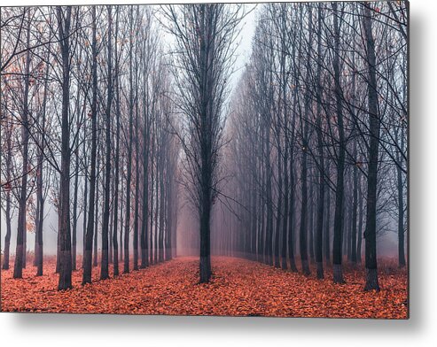 Anevsko Kale Metal Print featuring the photograph First In the Line by Evgeni Dinev