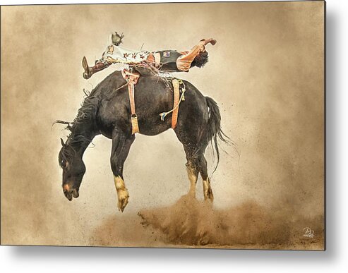 Bronc Metal Print featuring the photograph Flat Out by Debra Boucher