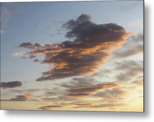 Clouds Metal Print featuring the photograph Cloud at sunset, like a bird by Adriana Mueller