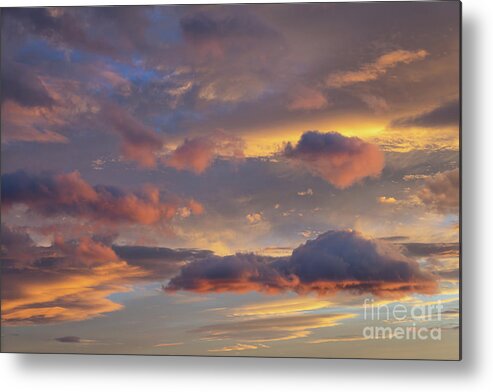 Clouds Metal Print featuring the photograph Floating in the clouds by Adriana Mueller