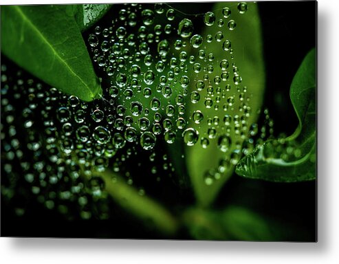 Raindrops Metal Print featuring the photograph Floating Raindrops by Linda Howes