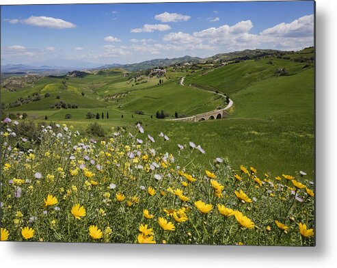 Scenics Metal Print featuring the photograph Flowers in rural landscape by Jeremy Woodhouse