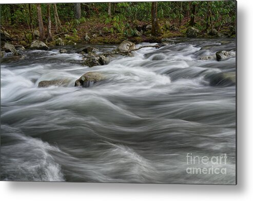 Cascades Metal Print featuring the photograph Flowing Through the Forest by Phil Perkins