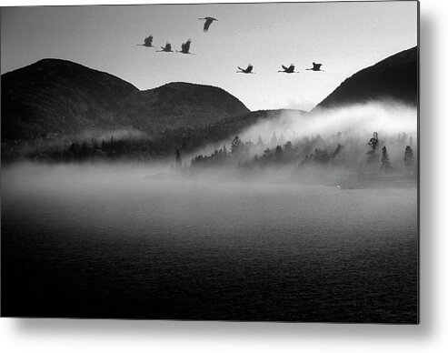 Bar Harbor Metal Print featuring the photograph Flying Over Fishermen's Bay in Bar Harbor by James C Richardson