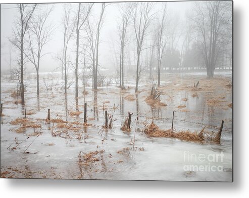 Foggy Day Metal Print featuring the photograph Foggy Day by Makiko Ishihara