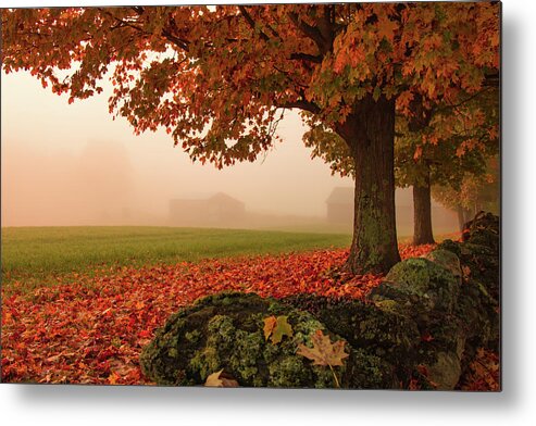 Foggy Morning In Autumn Metal Print featuring the photograph Foggy Morning in Autumn by Jeff Folger