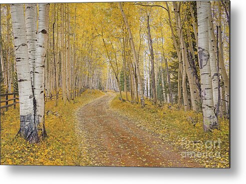 Fall Metal Print featuring the photograph follow the Yellow Leaf Road by Melissa Lipton