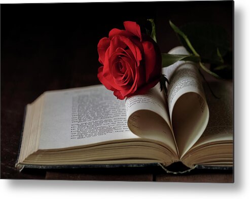 Rose Metal Print featuring the photograph For the Love of Reading by Holly Ross