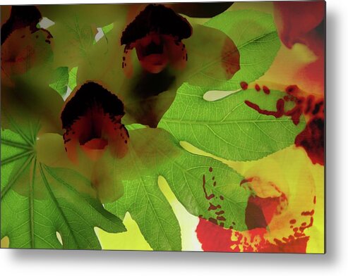 Leaves Orchids Green Forest Metal Print featuring the photograph Forest Green by Bobby Villapando