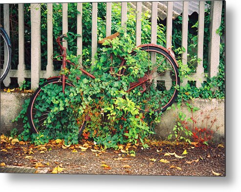 Italy Metal Print featuring the photograph Ivy - Bike by Claude Taylor