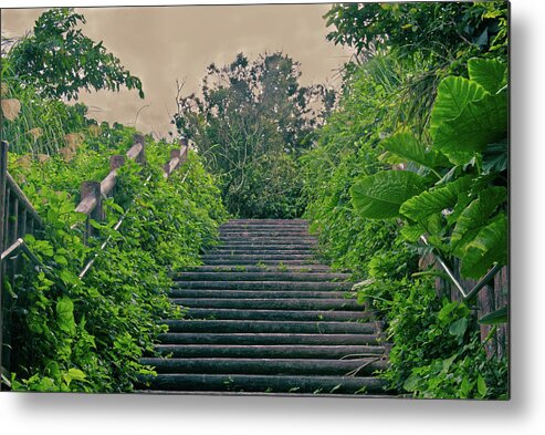 Stairs Metal Print featuring the photograph Forgotten stairway by Eric Hafner