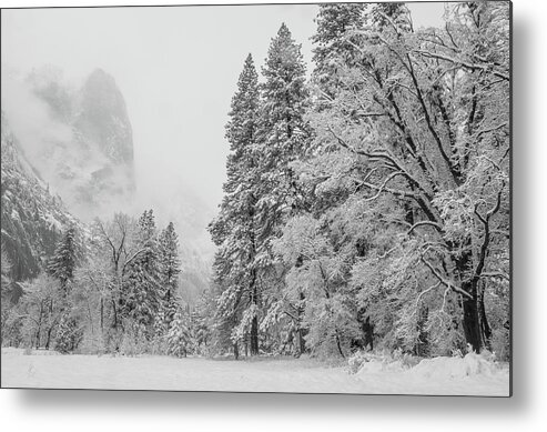 Landscape Metal Print featuring the photograph Frigid by Jonathan Nguyen