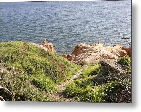Sea Metal Print featuring the photograph From Hill by Masami IIDA