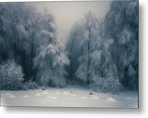 Mountain Metal Print featuring the photograph Frozen Forest by Evgeni Dinev