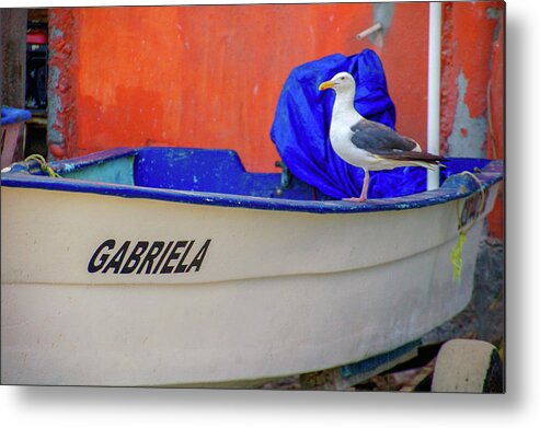 Popotla Metal Print featuring the photograph Gabriela by William Scott Koenig